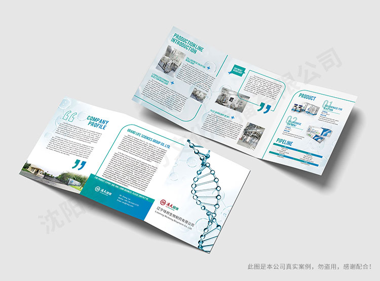 遼寧味邦生物折頁設(shè)計(jì)
